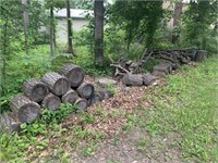 Firewood - North side of FW Pickup