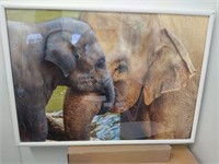 Mom and Baby Elephant Picture, 20 1/2" x 28 1/2"
