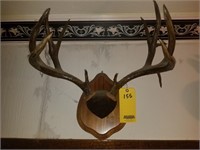 Antique Deer Rack Mount