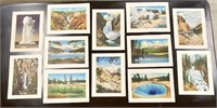 12 Haynes Colorgravures and 8 Jumbo Postcards