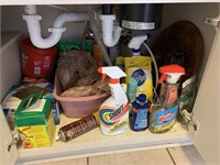 Contents Under Sink (cleaning supplies)