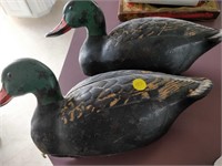 2 duck decoys  (plastic)