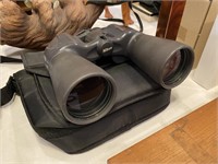 Nikon 10x50 Binoculars