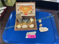 Box of fossils and arrow heads