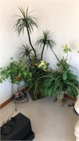 3-fake decorative plants & stands