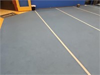 Padded, Athletic Floor Covering