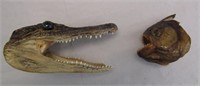 Piranha & Crocodile Specimens