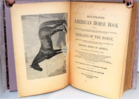 1876 Illustrated American Horse Book