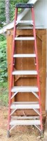 Werner 6 foot fiberglass ladder