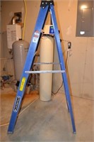 Louisville Fiberglass 6' Ladder