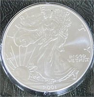 2001 Silver Eagle w/case