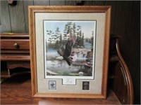 Collectors Edition  Boundary Waters Eagle print