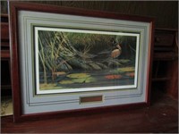 Appreciation Wood Duck Print by Don Moore.   26 x