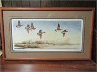 Canadian Geese in Flight by M Casper.  34 x 20