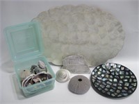 Assorted Shells & Shell Themed Items