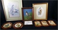 9 Framed Bird Pictures