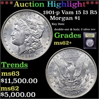 *Highlight* 1901-p Vam 15 I3 R5 Morgan $1 Graded S