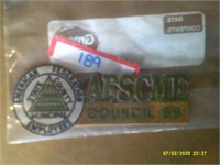 AFSCME Patch 1989