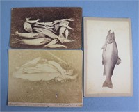 (3) Antique Fish Photographs