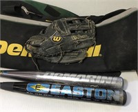 DeMarini bat and bag. Easton bat, Wilson rh glove