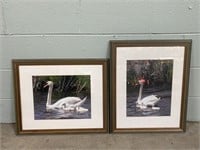 2 Framed Swan Prints