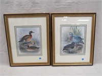 (2) FRAMED DUCK PRINTS: