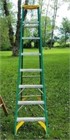Werner fiberglass 8' step ladder.