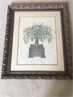 Framed Moroccan Palm