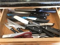 Assortment of Kitchen Knives