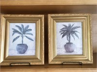 Framed Artwork of Palms