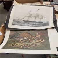 Box of antique prints/ calendar pages
