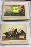 75 Audubon prints from the 1937 edition