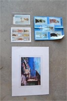Princess Diana Collector Stamps/Print