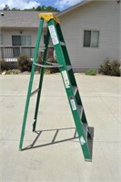 6" Davidson Fiberglass Ladder