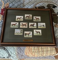 Different Breed of Horses Print