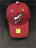 Florida State Hat
