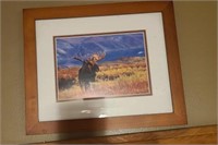 5 x 7 Framed Moose Print