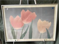 Tulips 28 inches wide