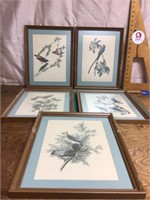 Five framed bird pictures