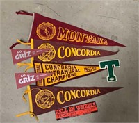 Collage Pennants