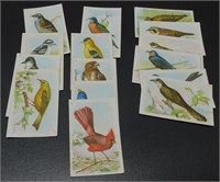 Antique “Useful Birds of America” Fifth Series