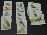 Antique “Useful Birds of America” Sixth Series