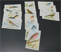 Antique “Useful Birds of America” Eighth Series