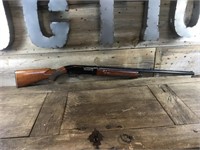 Winchester Model 1500 XTR - 20ga.