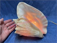 Vintage conch shell light (actual shell)