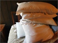 Six pillows including Bamboo and Hollander