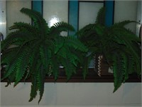 (2) Decorator Ferns and Wall Clock
