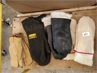 Gloves, 4 Pairs (IS)