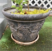 Planter Pot