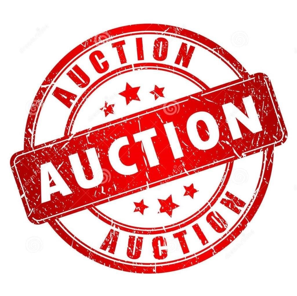 Watertown Agri-Business Club Benefit Auction
